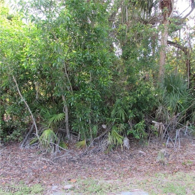 12348 Dolphin Rd, Bokeelia, FL 33922