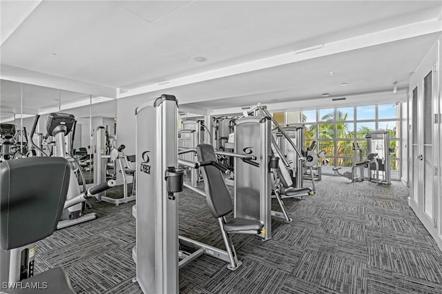 gym featuring carpet