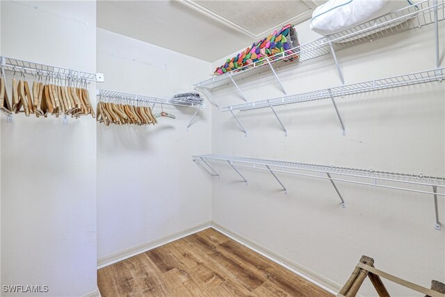 8804 Middlebrook Dr Unit 102, Fort Myers, FL 33908 - spacious closet with wood finished floors