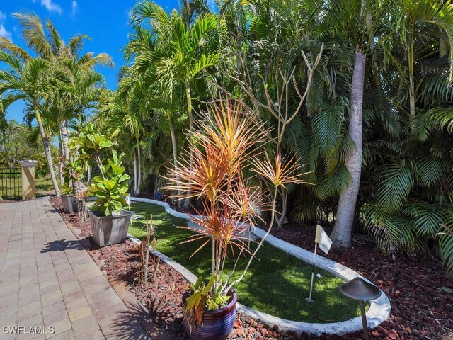 5667 Winkler Rd, Fort Myers, FL 33919 - view of yard