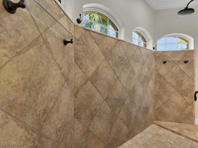 5667 Winkler Rd, Fort Myers, FL 33919 - bathroom view of tiled shower and crown molding