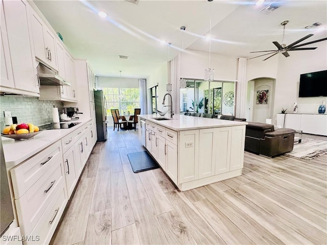 5489 Whispering Willow Way, Fort Myers, FL 33908 - kitchen with a sink, under cabinet range hood, appliances with stainless steel finishes, a ceiling fan, and white cabinetry