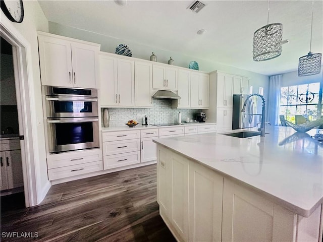 5489 Whispering Willow Way, Fort Myers, FL 33908 - kitchen featuring a sink, stainless steel appliances, under cabinet range hood, a spacious island, and white cabinetry