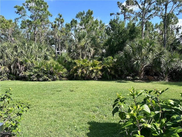 5489 Whispering Willow Way, Fort Myers, FL 33908 - view of grassy yard
