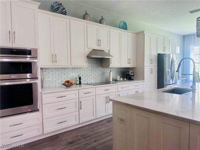 5489 Whispering Willow Way, Fort Myers, FL 33908 - kitchen with appliances with stainless steel finishes, under cabinet range hood, a sink, decorative backsplash, and white cabinets