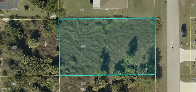 4602 Connie Ave S, Lehigh Acres, FL 33976