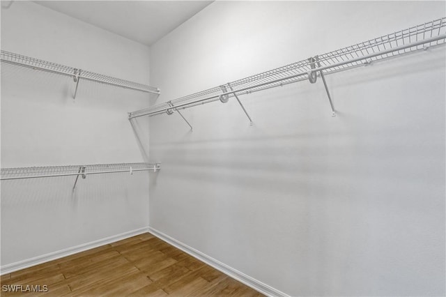 12642 Cara Cara Loop, Bradenton, FL 34212 - walk in closet with wood finished floors