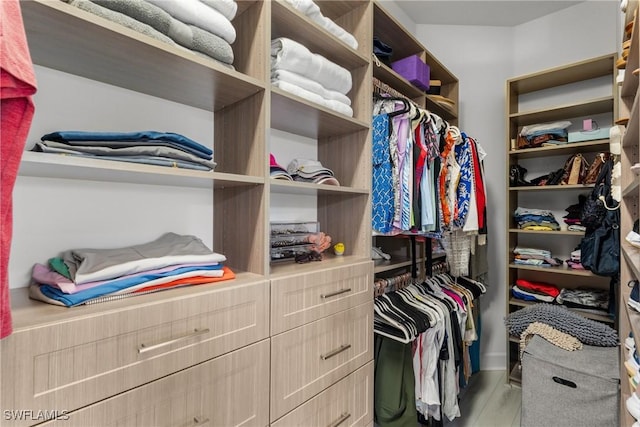 8761 Bellano Ct Unit 202, Naples, FL 34119 - spacious closet featuring light wood-style floors