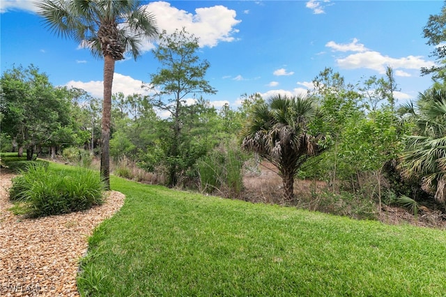 1335 Henley St Unit 802, Naples, FL 34105 - view of green lawn