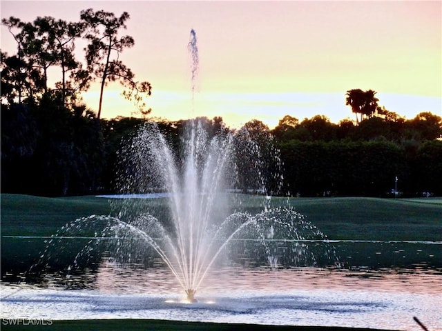 28171 L Burton Fletcher Ct, Bonita Springs, FL 34135 - surrounding community with a water view