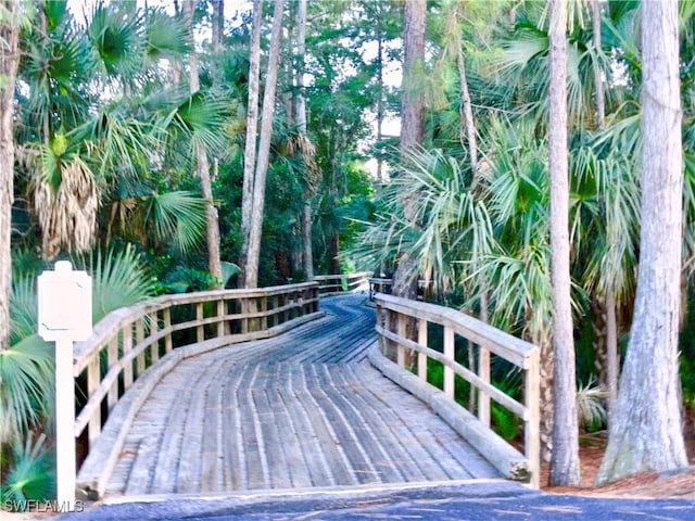 28171 L Burton Fletcher Ct, Bonita Springs, FL 34135 - view of wooden deck