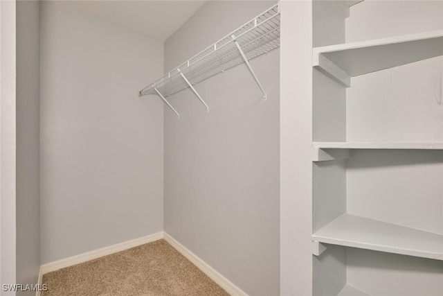 1124 SW 48th Ter Unit 208, Cape Coral, FL 33914 - walk in closet with carpet floors