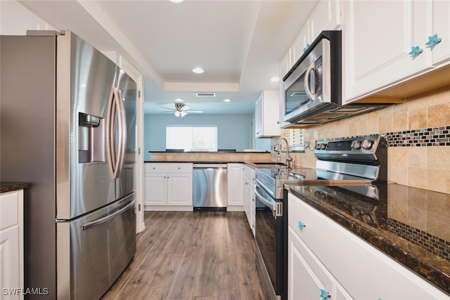 1124 SW 48th Ter Unit 208, Cape Coral, FL 33914 - kitchen featuring appliances with stainless steel finishes, a sink, white cabinets, dark wood-style floors, and ceiling fan