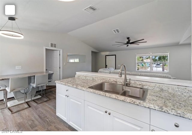 5005 Squaw Ln, Labelle, FL 33935 - kitchen featuring a sink, wood finished floors, white cabinetry, lofted ceiling, and healthy amount of natural light