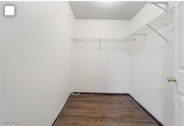 5005 Squaw Ln, Labelle, FL 33935 - walk in closet featuring wood finished floors