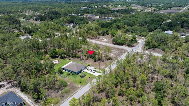 1321 Mcarthur Ave, Lehigh Acres, FL 33972