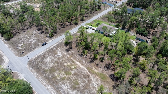 1321 Mcarthur Ave, Lehigh Acres, FL 33972