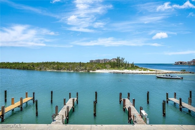 1206 Edington Pl Unit D304, Marco Island, FL 34145 - dock area with a water view
