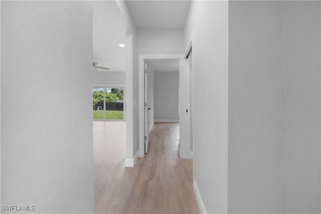 4201 17th St SW, Lehigh Acres, FL 33976 - hall featuring light wood finished floors and baseboards
