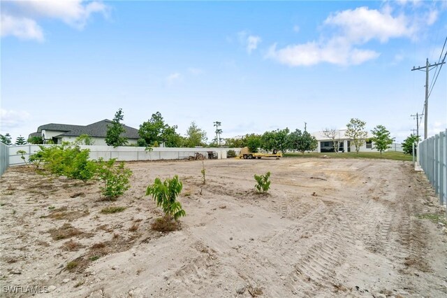 2833 NW 4th Ave, Cape Coral, FL 33993 - view of yard