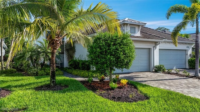 7028 Mistral Way, Fort Myers, FL 33966 - view of property hidden behind natural elements with driveway, stucco siding, a garage, and a front yard