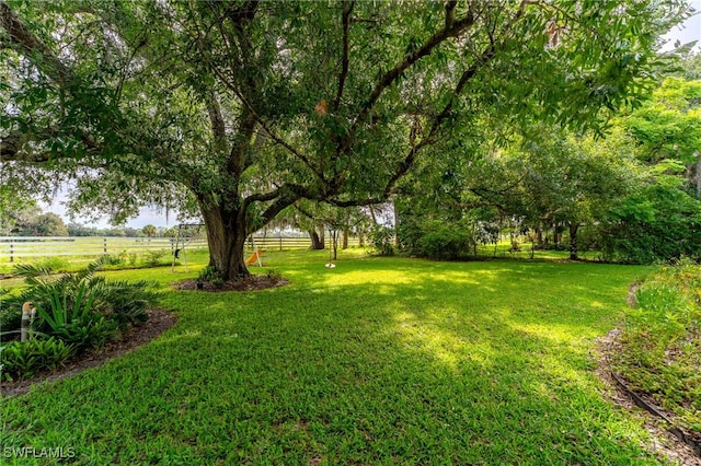 4559 Springview Cir, Labelle, FL 33935 - view of yard