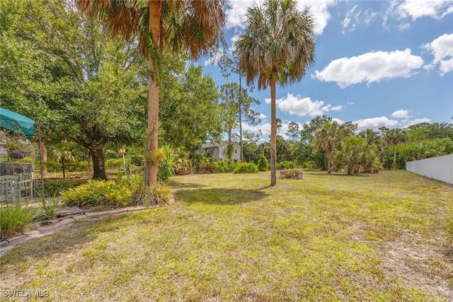 180 20th St SE, Naples, FL 34117 - view of yard