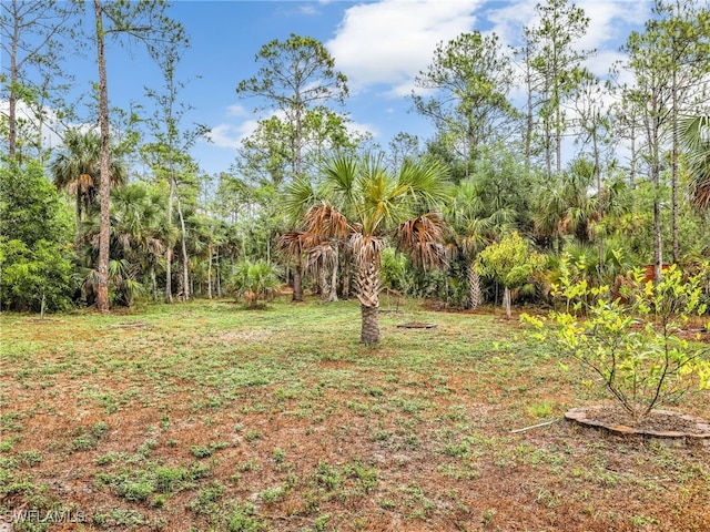 145 33rd Ave NE, Naples, FL 34120 - view of yard