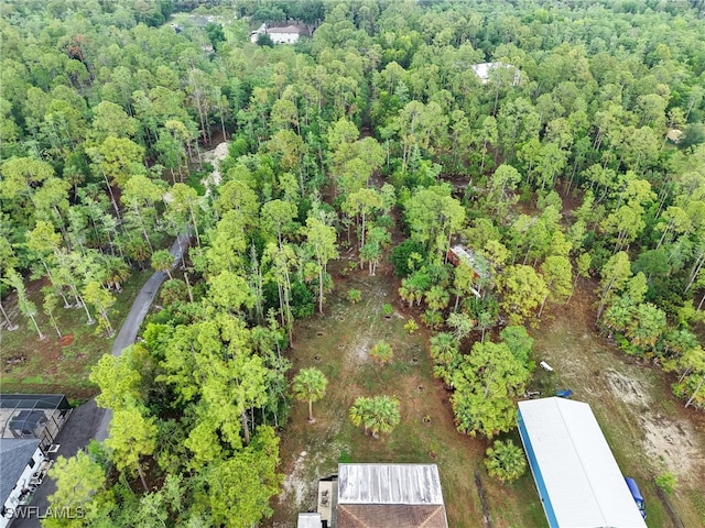 145 33rd Ave NE, Naples, FL 34120 - aerial view of a forest