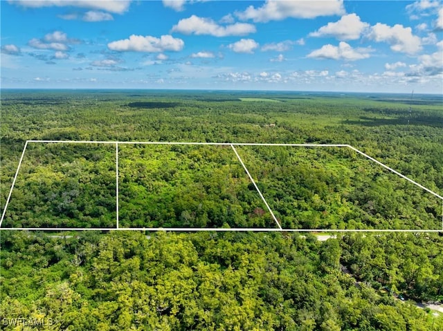 4873 36th Ave SE, Naples, FL 34117