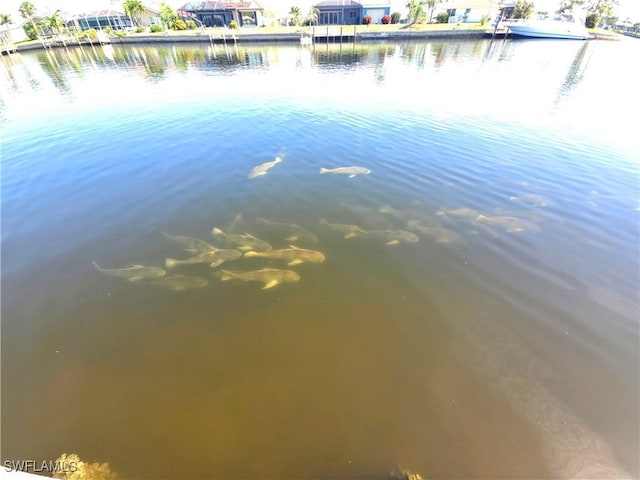 1450 Aqui Esta Dr, Punta Gorda, FL 33950 - water view