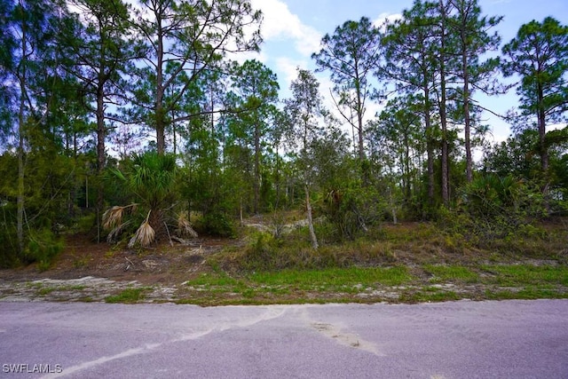 1219 Mcarthur Ave, Lehigh Acres, FL 33972
