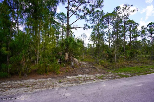 1219 Mcarthur Ave, Lehigh Acres, FL 33972