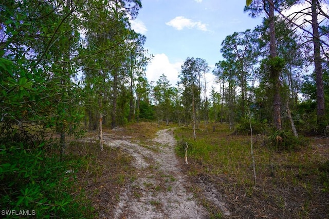 1219 Mcarthur Ave, Lehigh Acres, FL 33972