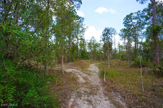 1219 Mcarthur Ave, Lehigh Acres, FL 33972