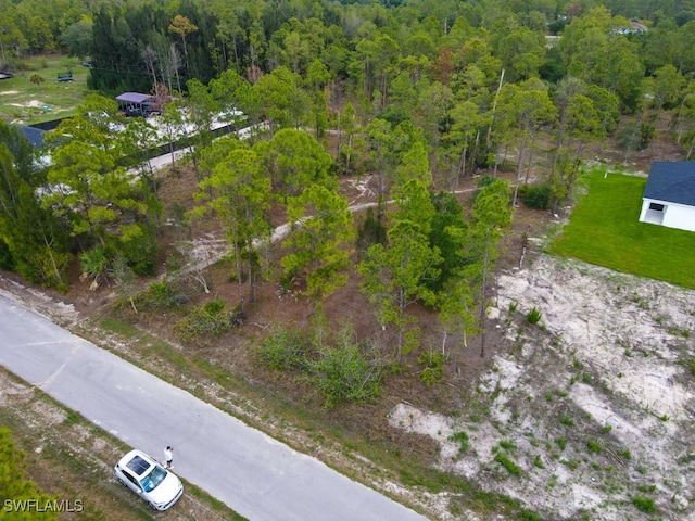 1219 Mcarthur Ave, Lehigh Acres, FL 33972