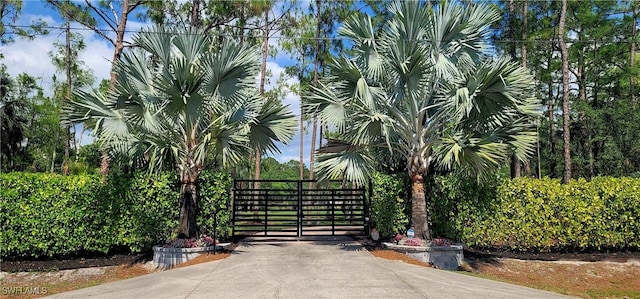 2360 19th St SW, Naples, FL 34117 - view of gate