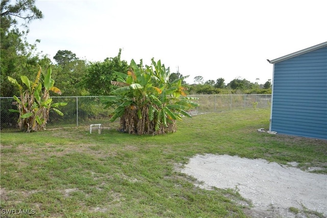306 Pendleton Ave, Lehigh Acres, FL 33974 - view of yard