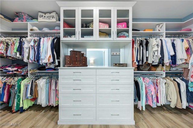 4701 Oak Leaf Dr, Naples, FL 34119 - walk in closet featuring light wood finished floors