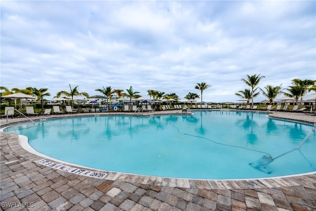 11260 Canopy Loop, Fort Myers, FL 33913 - view of community pool