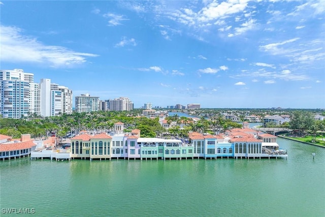 736 94th Ave N, Naples, FL 34108 - drone / aerial view of a nearby body of water