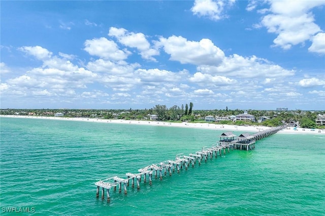 736 94th Ave N, Naples, FL 34108 - water view
