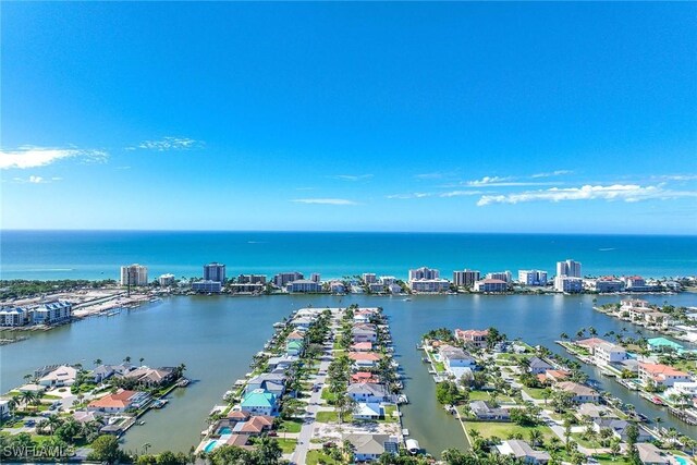 736 94th Ave N, Naples, FL 34108 - drone / aerial view of a large body of water