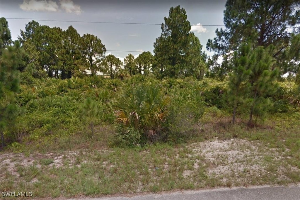 1241 Songbird St, Fort Myers, FL 33913 - photo 1