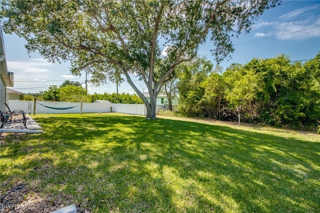 14160 Cedardale St, Fort Myers, FL 33905 - view of yard