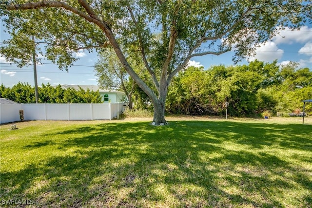14160 Cedardale St, Fort Myers, FL 33905 - view of yard