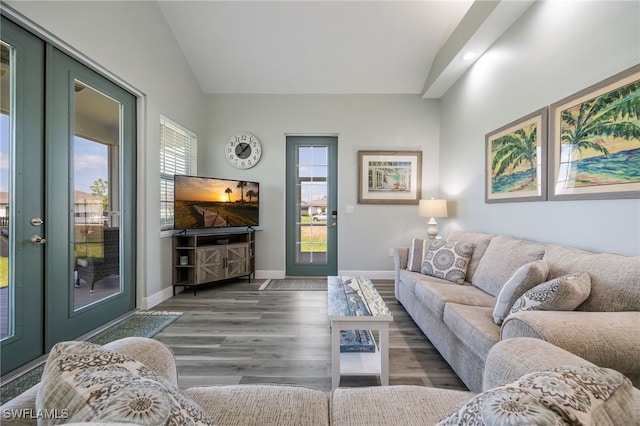 910 Gen George Patton Ave, Labelle, FL 33935 - living room featuring vaulted ceiling, wood finished floors, baseboards, recessed lighting, and french doors