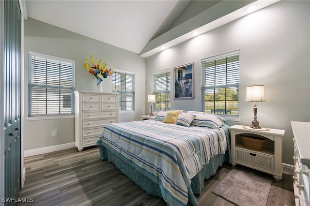 910 Gen George Patton Ave, Labelle, FL 33935 - bedroom with wood finished floors, multiple windows, baseboards, and high vaulted ceiling