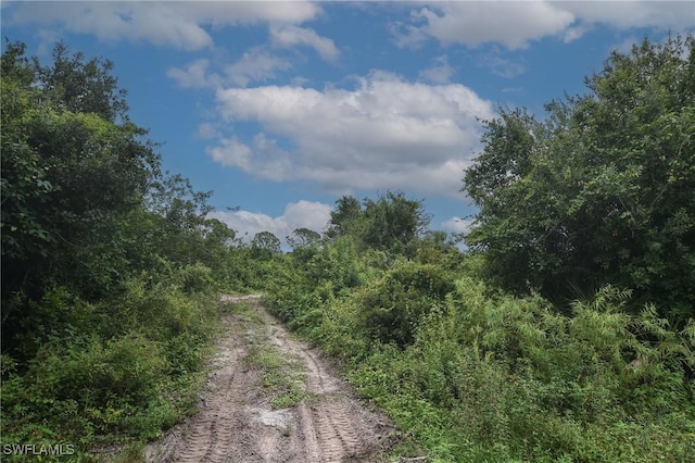 301 Rawlings Ave, Lehigh Acres, FL 33974