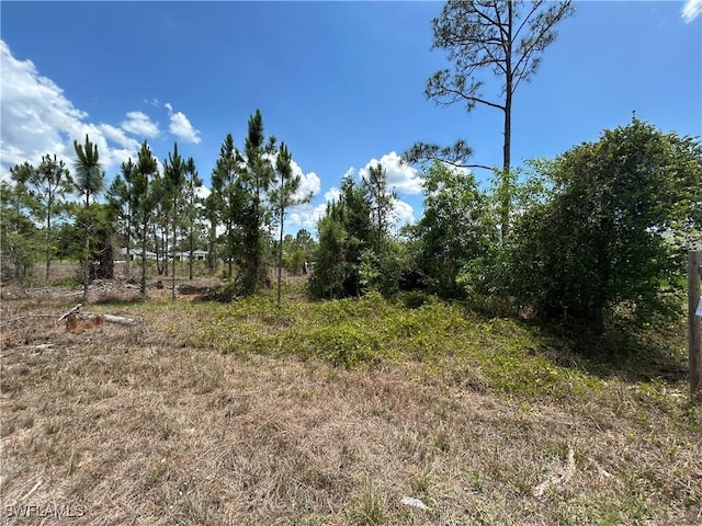 858 Arogon St E, Lehigh Acres, FL 33974